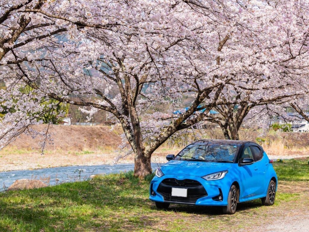 桜の木の下に停車した青いコンパクトカー