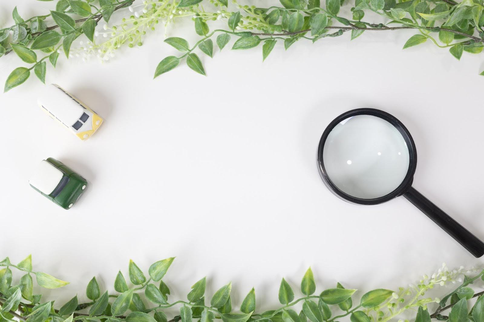 軽自動車とコンパクトカーを徹底比較！維持費や性能の違いを解説