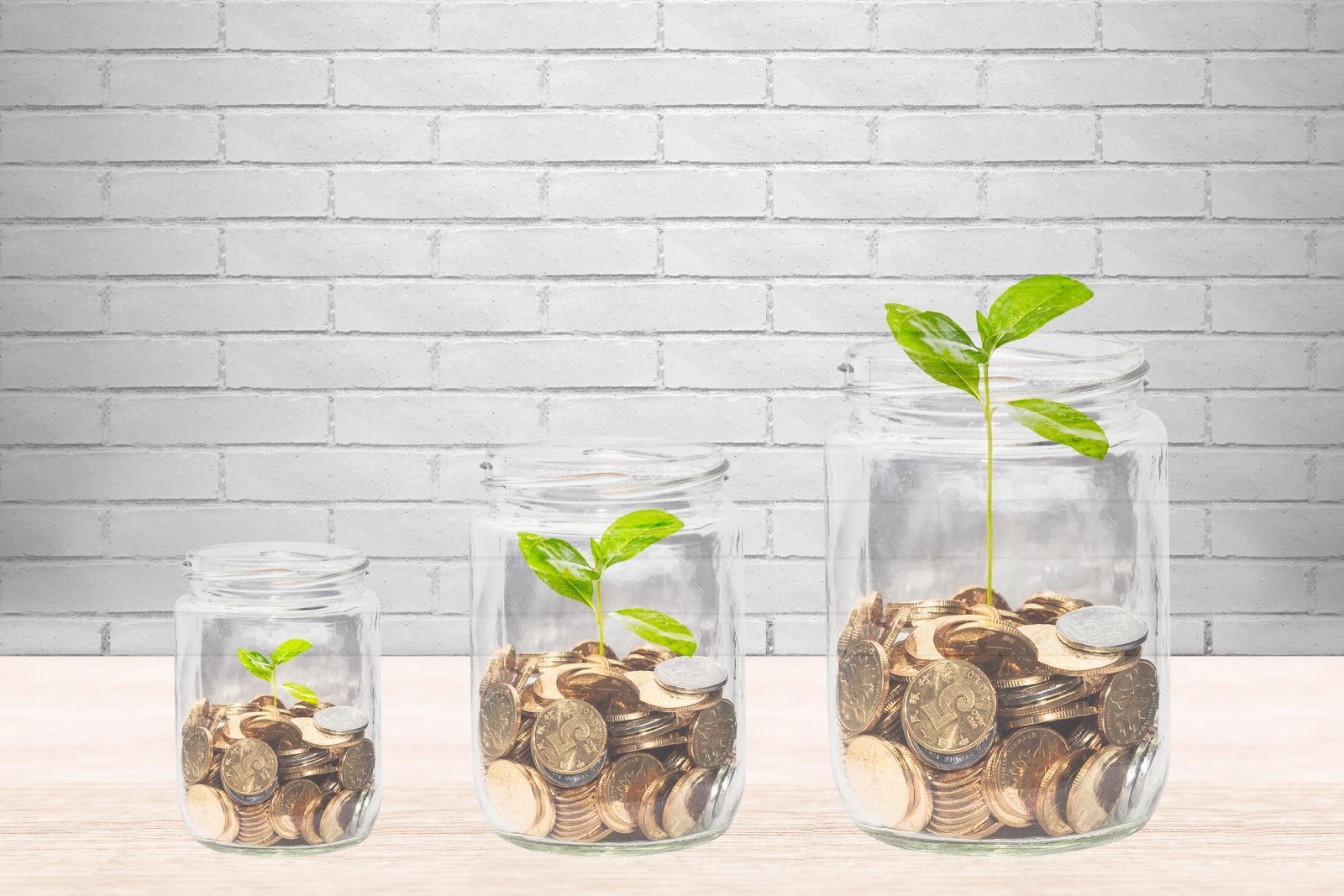 中古車買取相場の推移を意識して売却タイミングを見極める方法